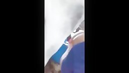 Horse Cumming