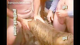 Experience the Thrill of Dog Cock: Free Porn Video Watching and Downloading!