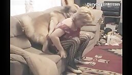 To improve the canines' appearance, a mature breeder has sex with them. animal sex in the zoo: the best of the best